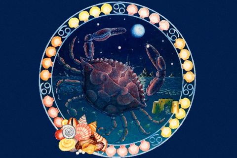 Das Cancer Zodiac Wallpaper 480x320