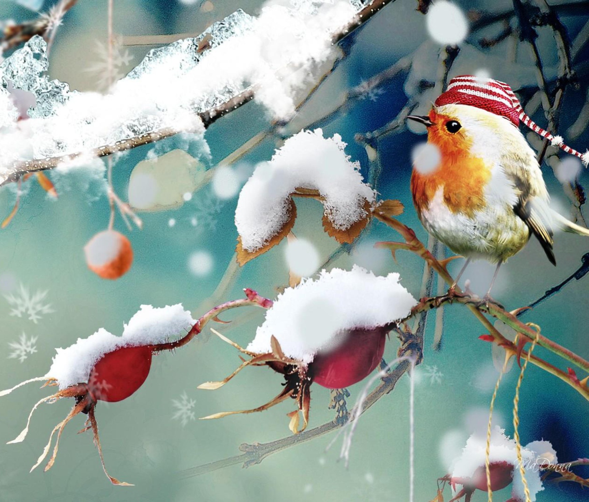 Обои Sweet Winter Bird 1200x1024