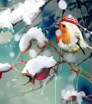 Sweet Winter Bird - Obrázkek zdarma pro 128x128