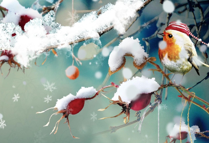 Sweet Winter Bird wallpaper