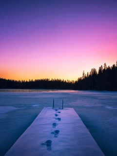 Winter Lake screenshot #1 240x320