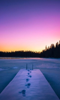 Winter Lake screenshot #1 240x400