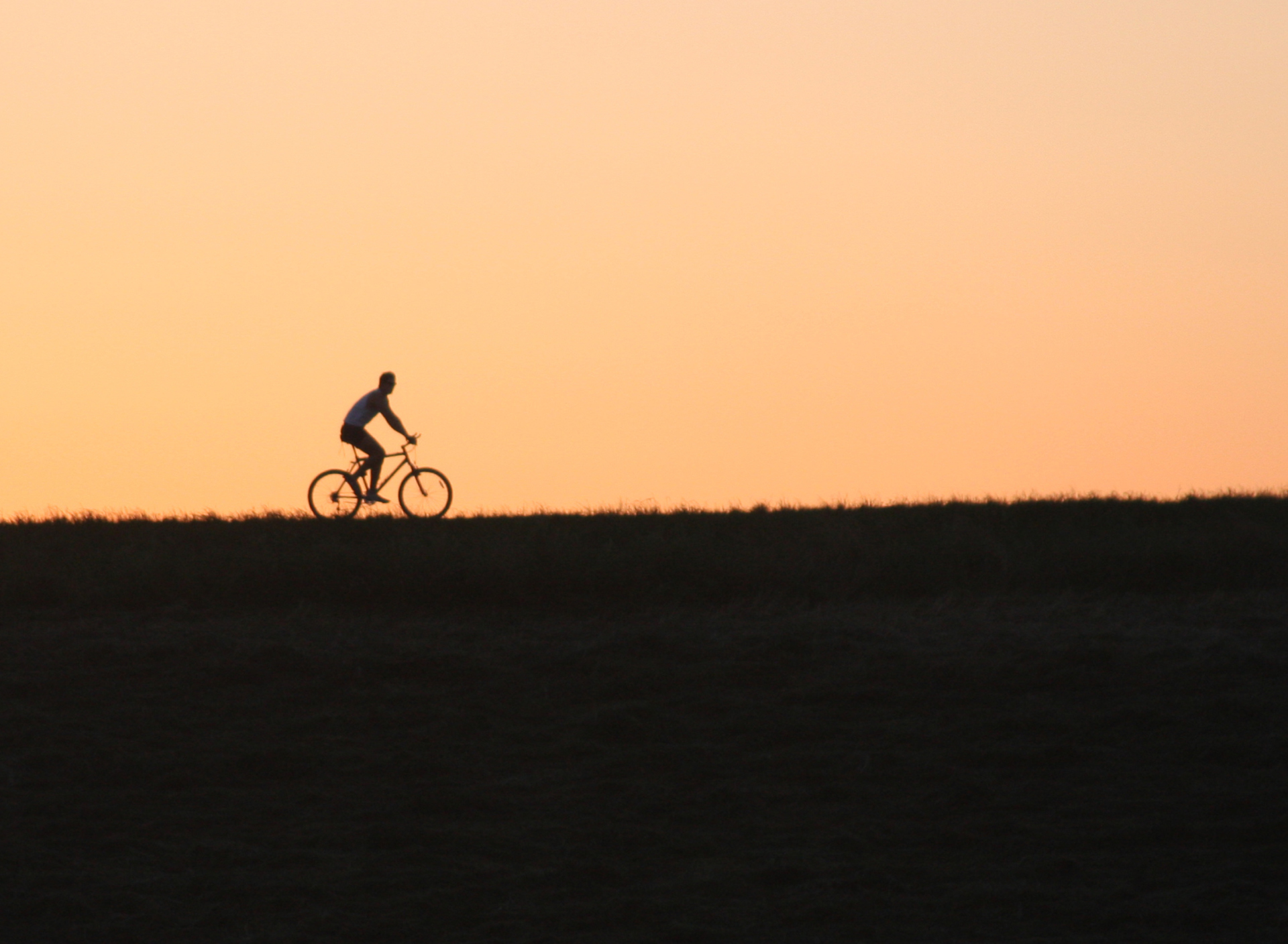 Bicycle Ride In Field wallpaper 1920x1408