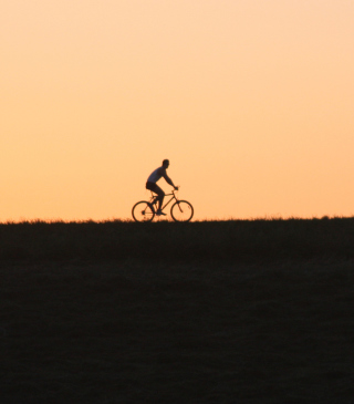 Bicycle Ride In Field - Obrázkek zdarma pro 128x160