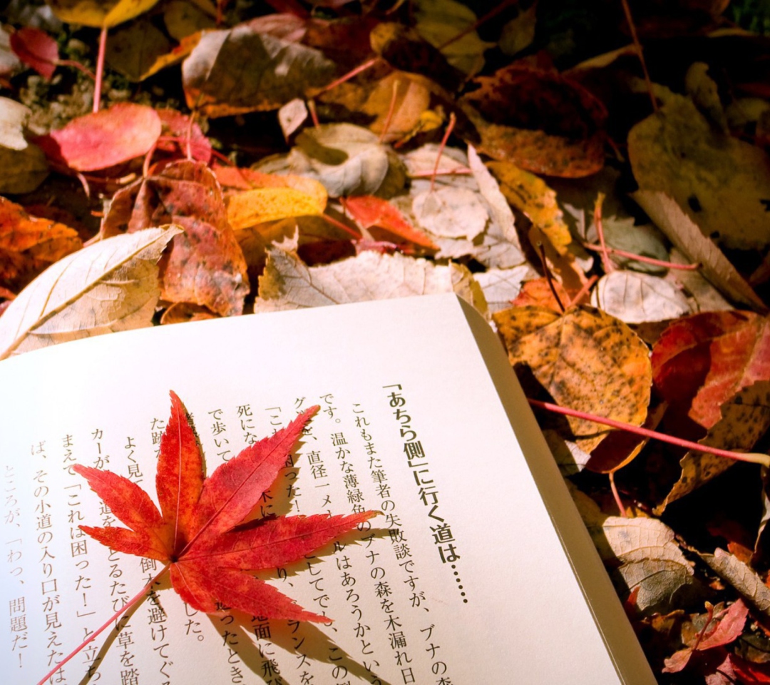 Red Leaf On A Book wallpaper 1080x960
