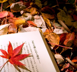 Kostenloses Red Leaf On A Book Wallpaper für iPad Air