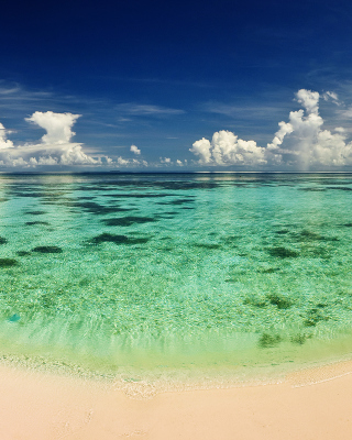 Free Paradise Beach Picture for 768x1280