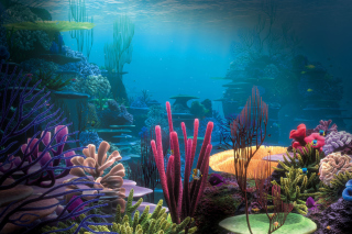 Underwater - Obrázkek zdarma pro Fullscreen Desktop 1600x1200