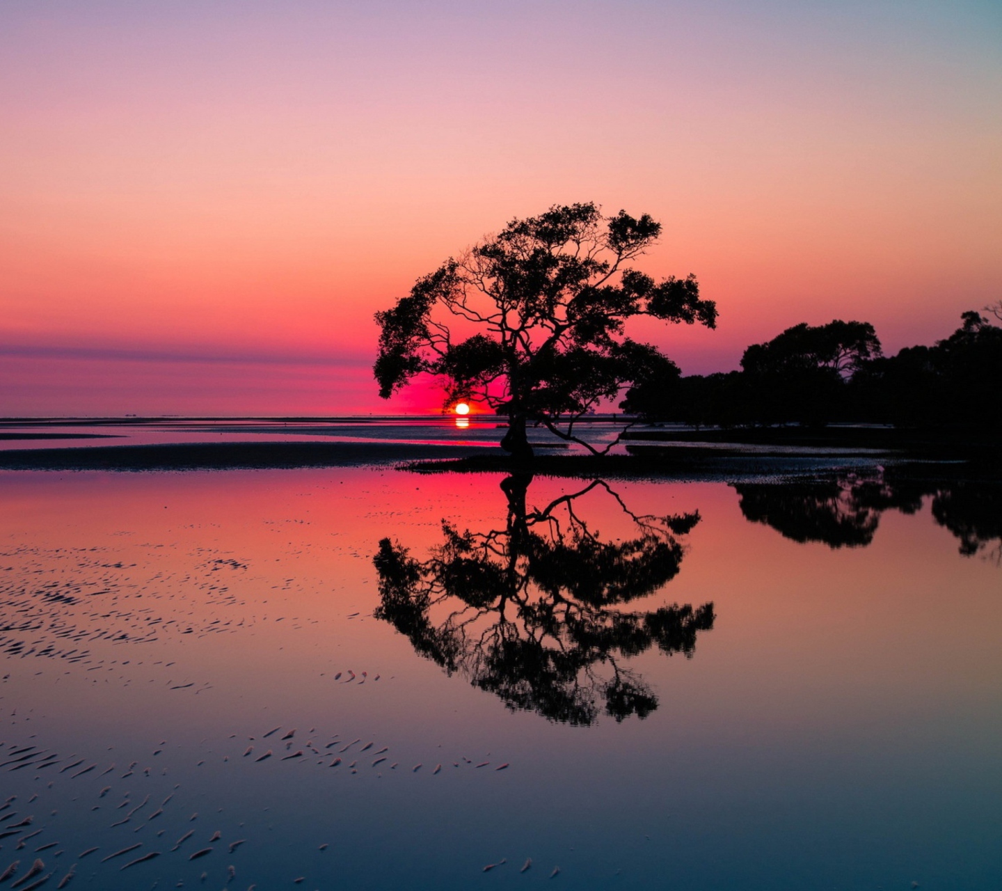 Обои Beautiful Sunset Lake Landscape 1440x1280