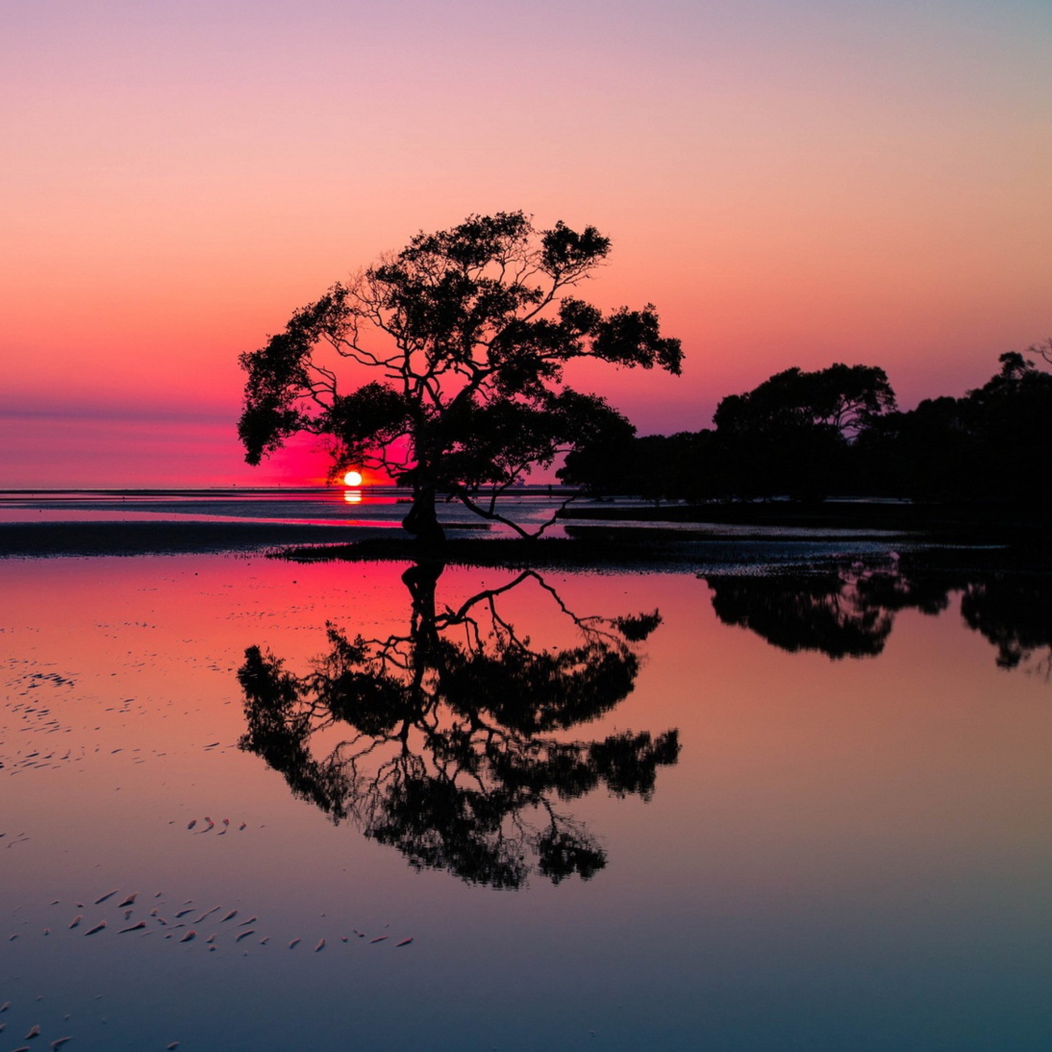 Fondo de pantalla Beautiful Sunset Lake Landscape 2048x2048