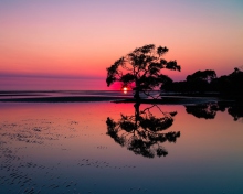Fondo de pantalla Beautiful Sunset Lake Landscape 220x176