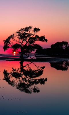 Fondo de pantalla Beautiful Sunset Lake Landscape 240x400