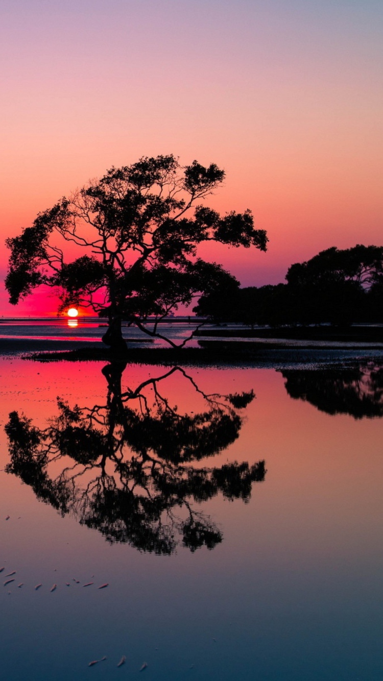 Screenshot №1 pro téma Beautiful Sunset Lake Landscape 750x1334
