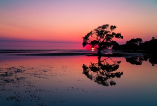 Beautiful Sunset Lake Landscape - Obrázkek zdarma 