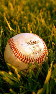 Screenshot №1 pro téma Baseball Ball 240x400