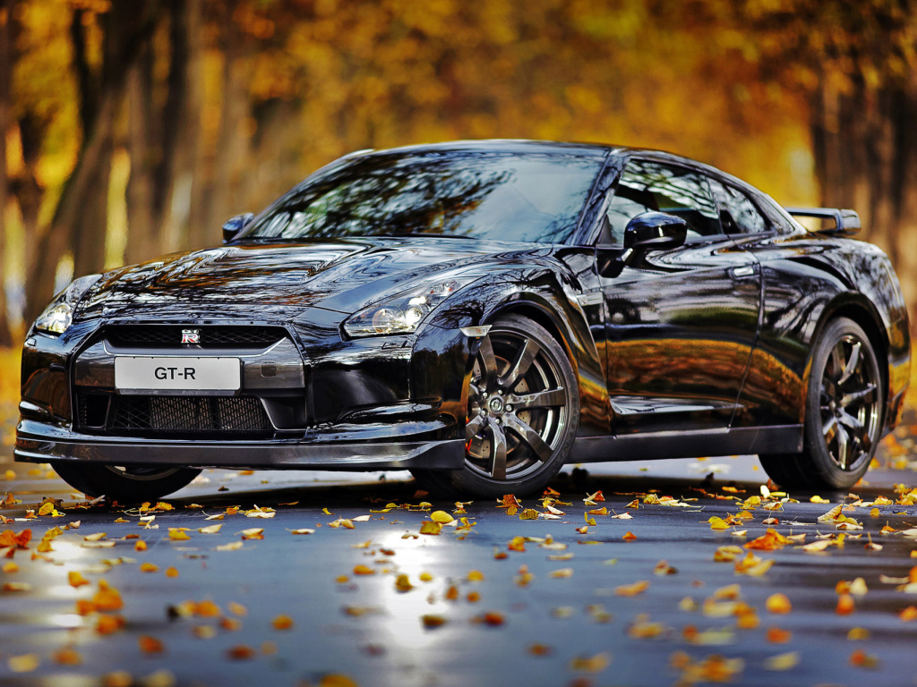 Обои Nissan GT R in Autumn Forest 1024x768