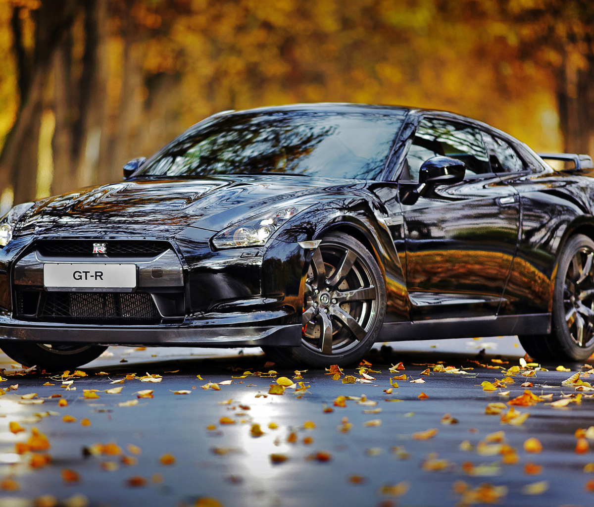 Обои Nissan GT R in Autumn Forest 1200x1024