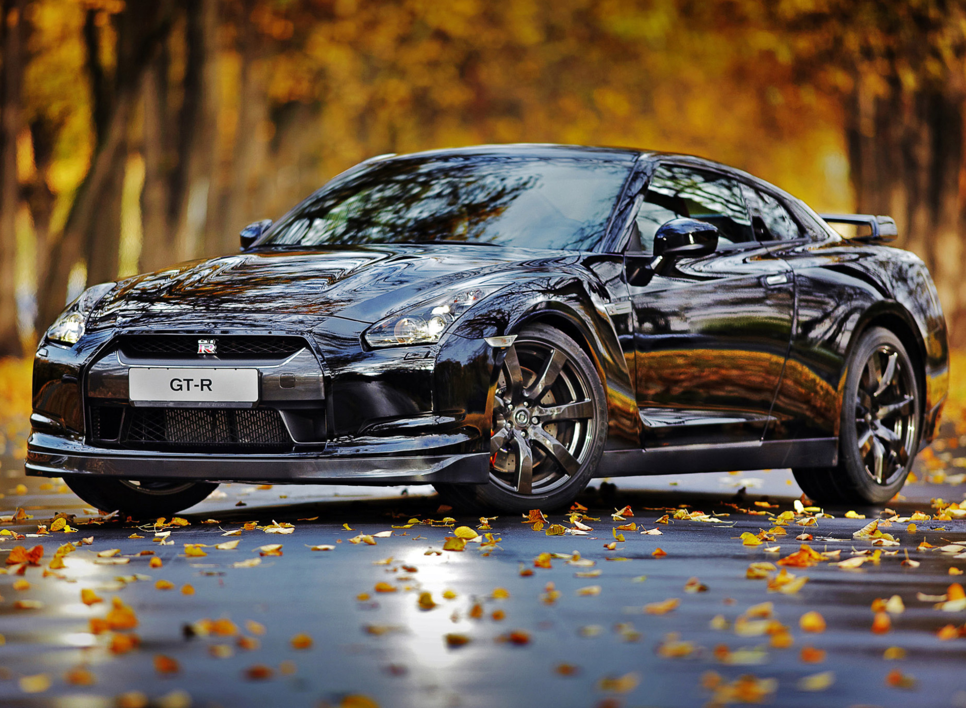 Обои Nissan GT R in Autumn Forest 1920x1408