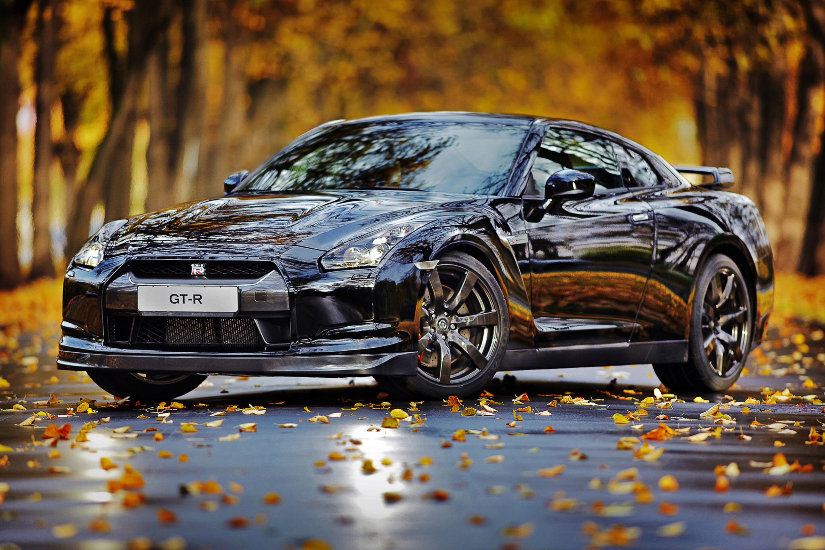 Обои Nissan GT R in Autumn Forest 2880x1920
