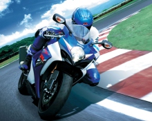 Moto GP Suzuki screenshot #1 220x176