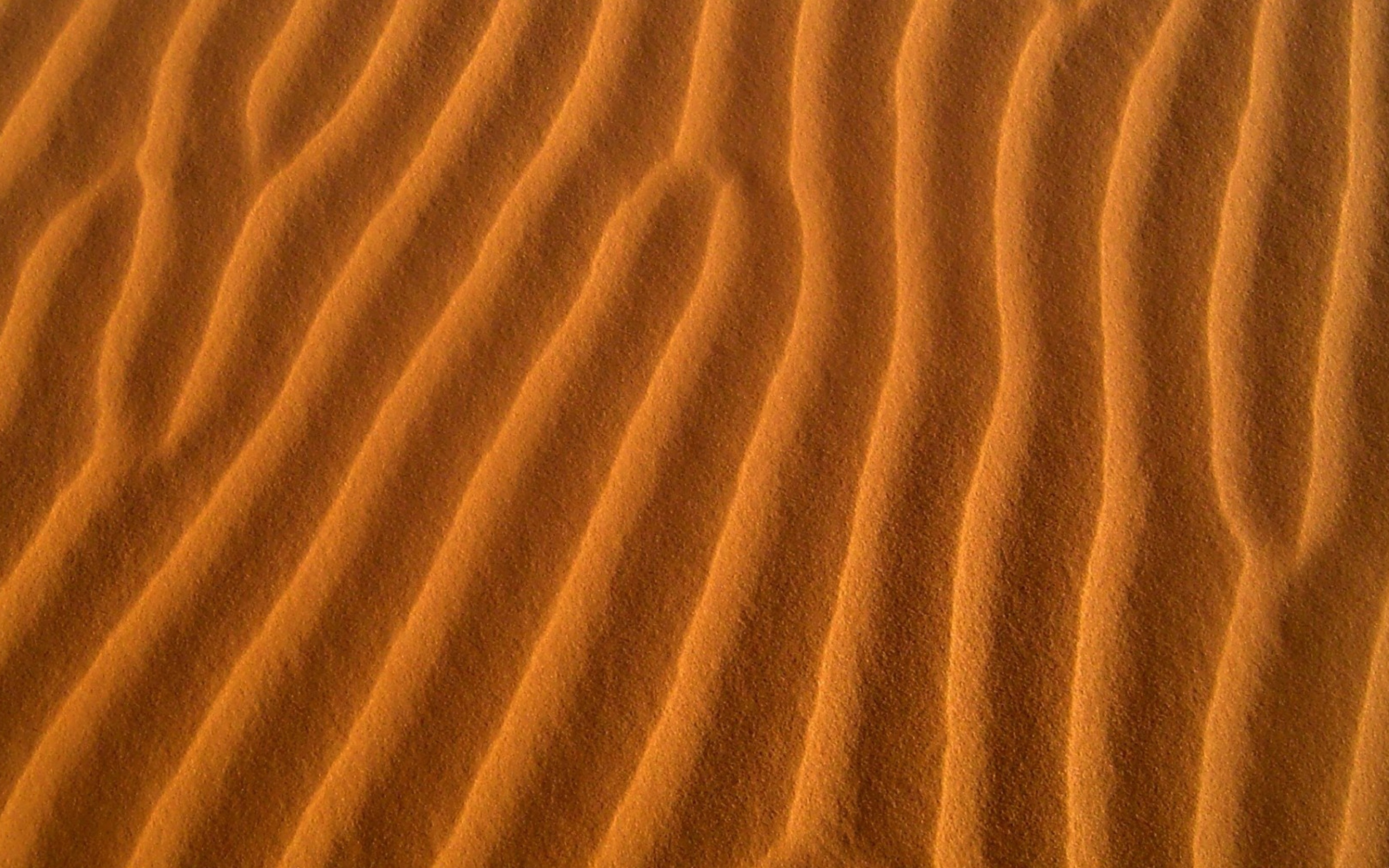 Screenshot №1 pro téma Sand Waves 2560x1600