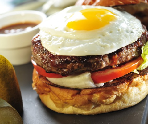 Fast Food Sandwich screenshot #1 480x400