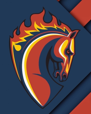 PFC CSKA Moscow - Fondos de pantalla gratis para 768x1280