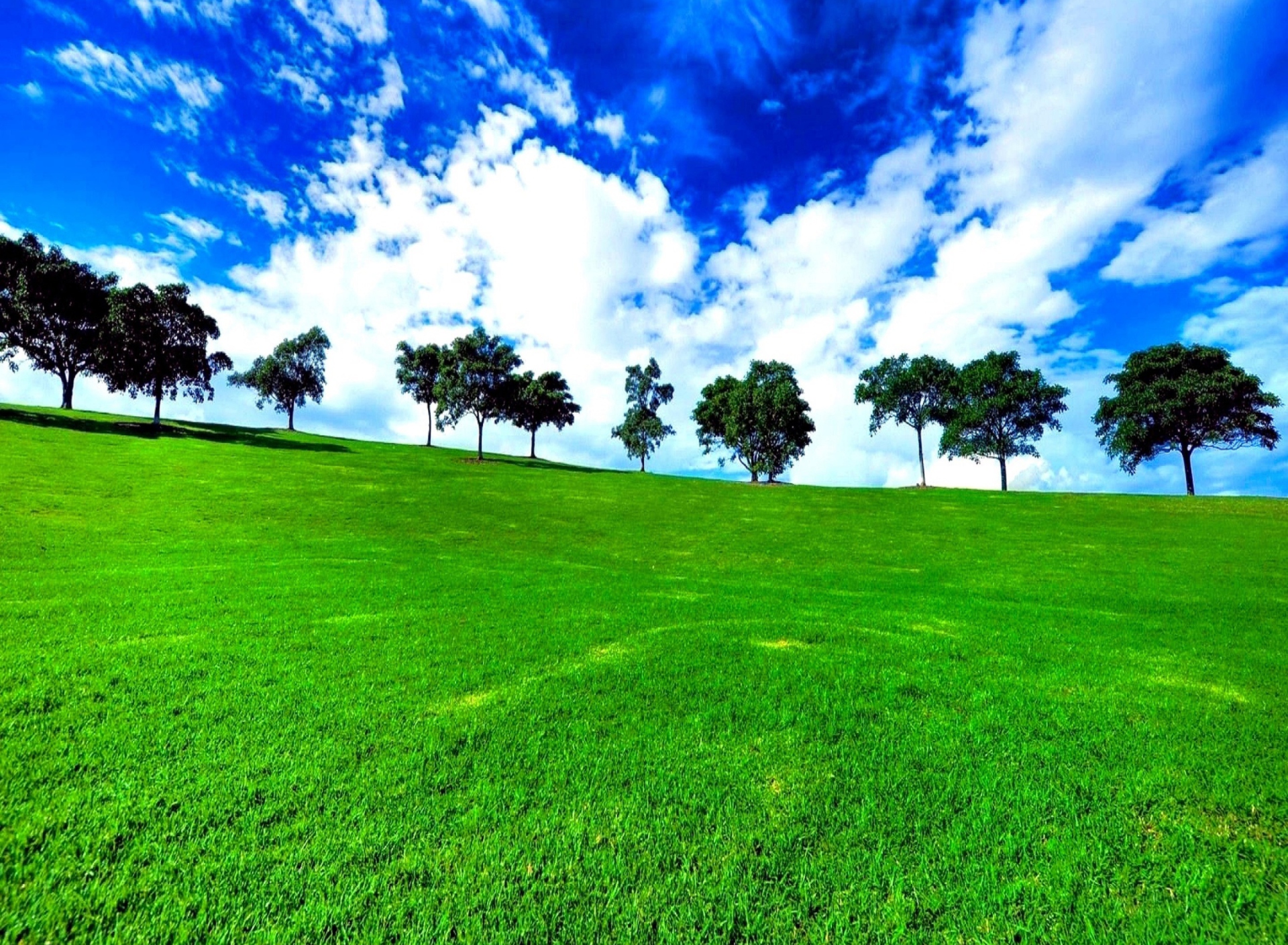 Das Green Landscape Wallpaper 1920x1408