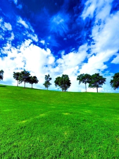 Green Landscape screenshot #1 240x320