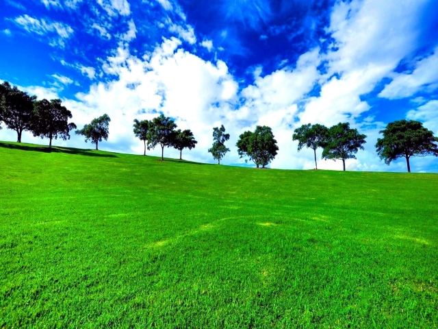 Green Landscape wallpaper 640x480