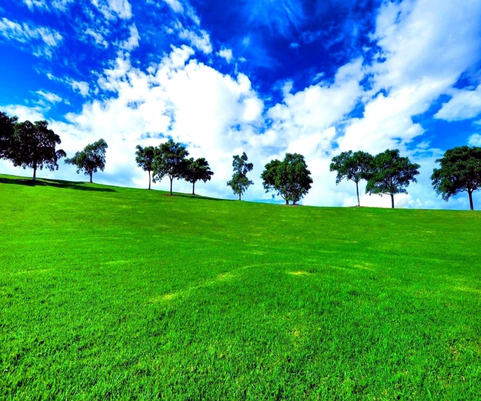 Green Landscape wallpaper 960x800