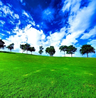 Green Landscape - Obrázkek zdarma pro 208x208