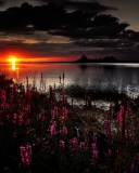Обои Flowers And Lake At Sunset 128x160