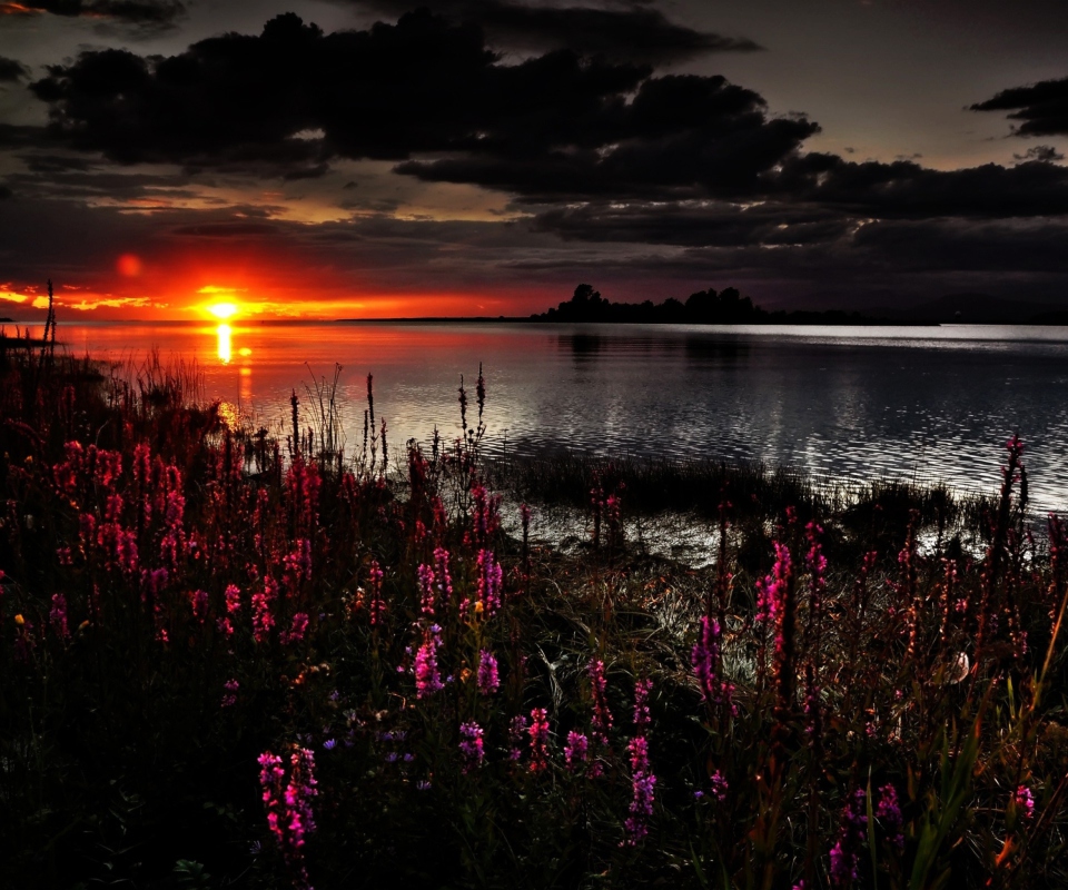 Sfondi Flowers And Lake At Sunset 960x800