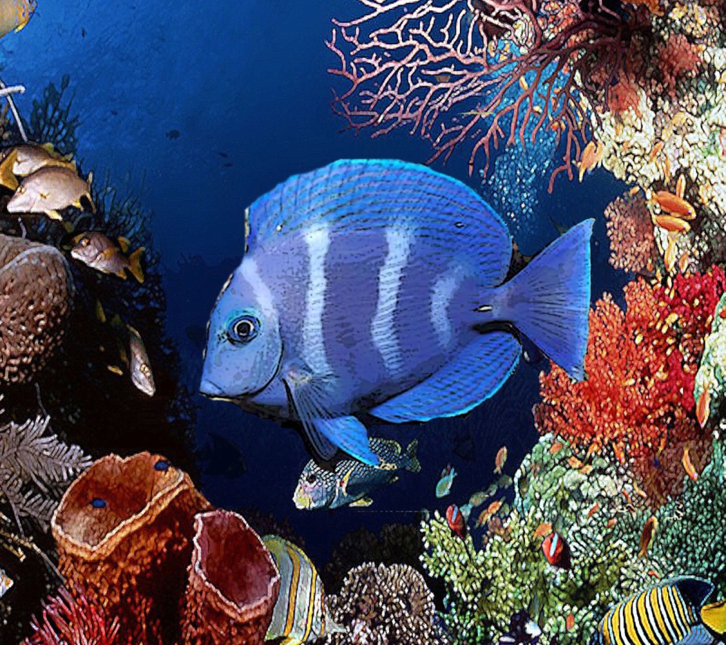 Tropical Blue Fish wallpaper 1440x1280