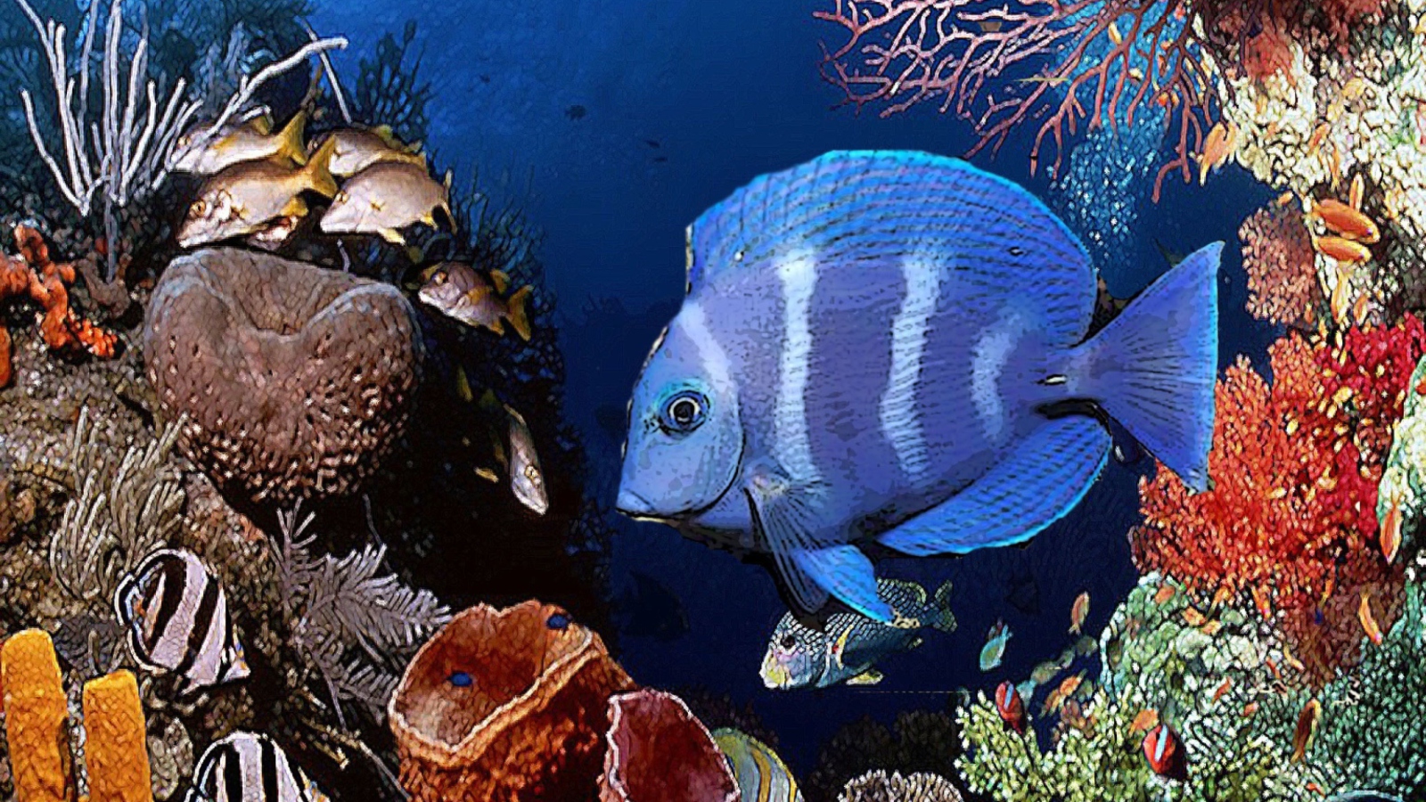 Tropical Blue Fish screenshot #1 1600x900