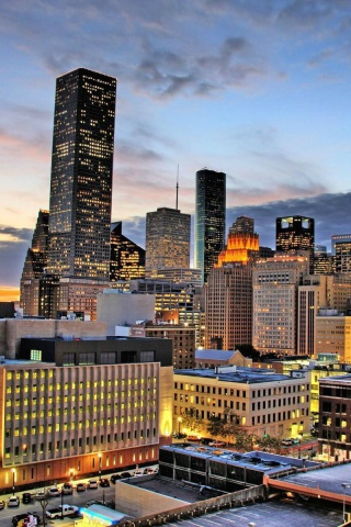 Houston City screenshot #1 320x480