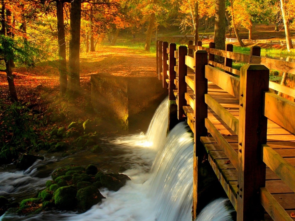 Fondo de pantalla Wonderful Autumn Waterfall 1024x768