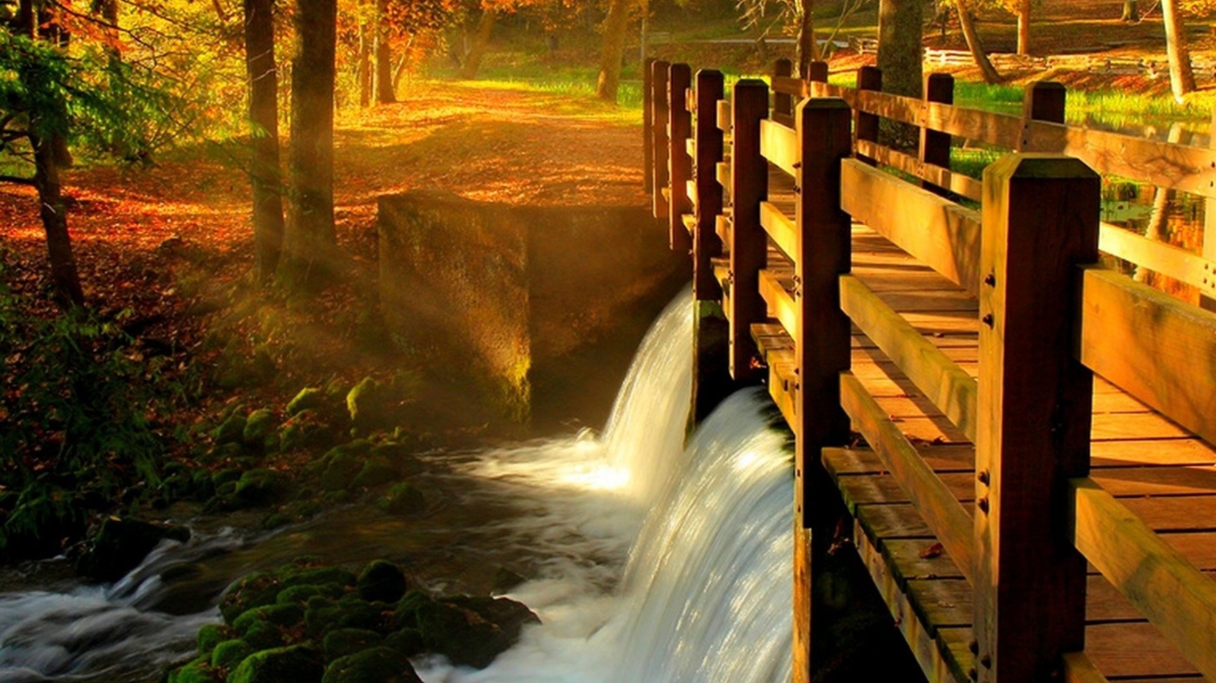 Screenshot №1 pro téma Wonderful Autumn Waterfall 1366x768