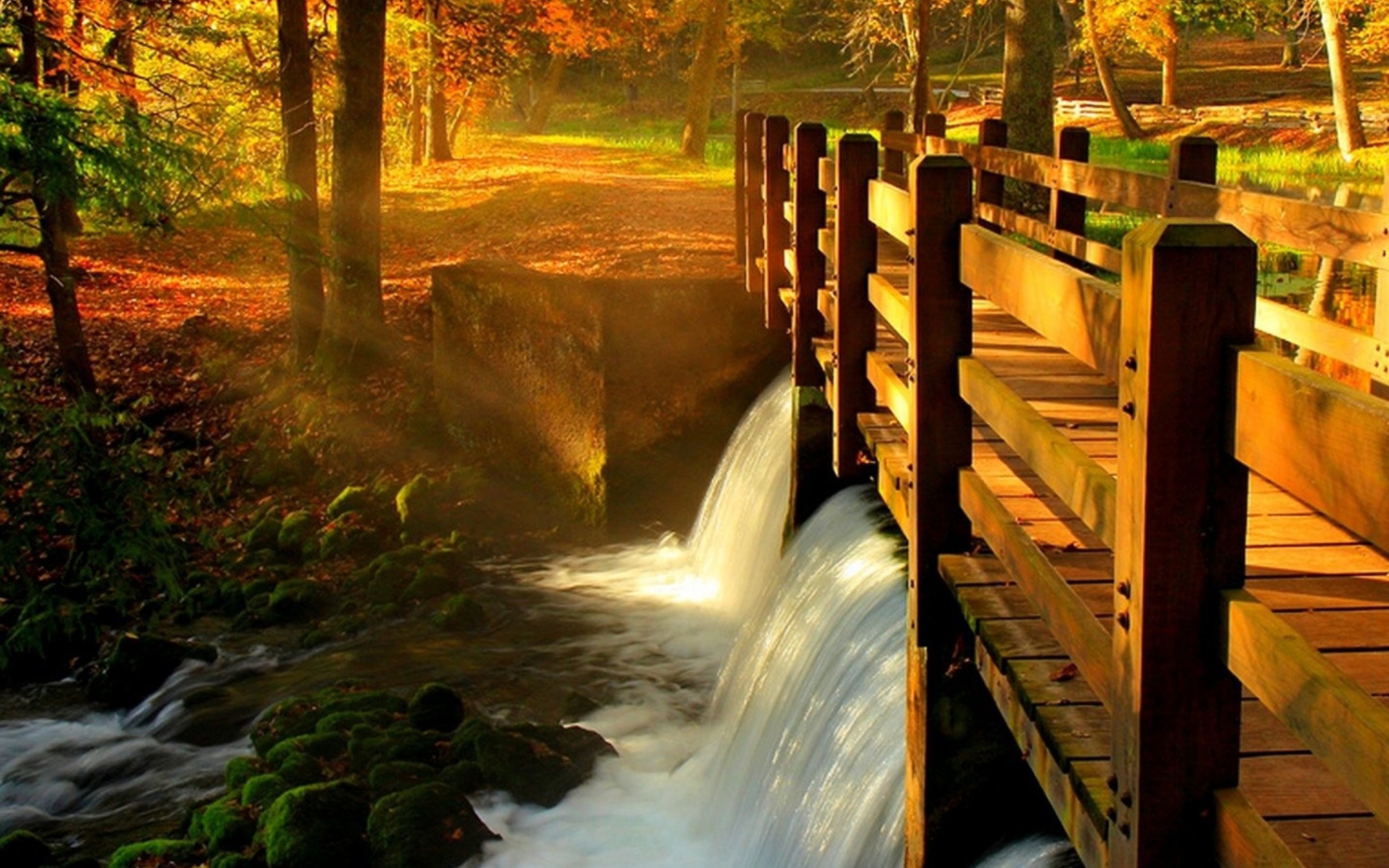 Screenshot №1 pro téma Wonderful Autumn Waterfall 1920x1200