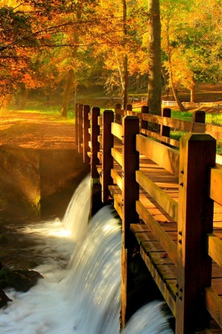 Wonderful Autumn Waterfall screenshot #1 320x480