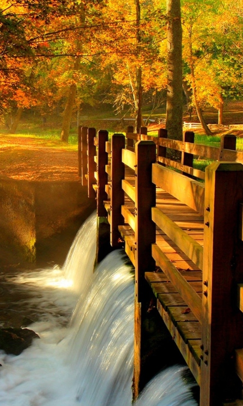 Screenshot №1 pro téma Wonderful Autumn Waterfall 480x800
