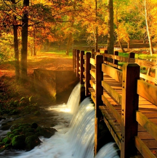 Wonderful Autumn Waterfall papel de parede para celular para iPad mini 2