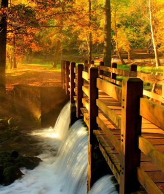 Wonderful Autumn Waterfall Picture for iPhone 5