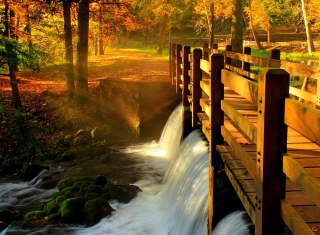 Wonderful Autumn Waterfall - Obrázkek zdarma pro Android 600x1024