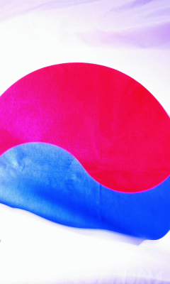 Sfondi South Korea Flag 240x400