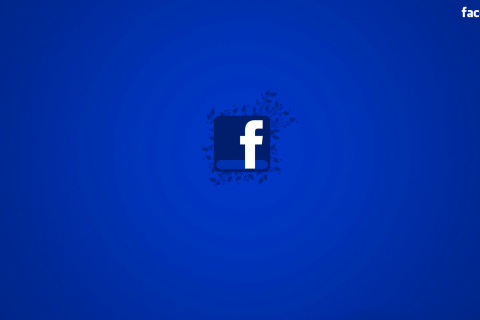 Das Facebook Logo Wallpaper 480x320