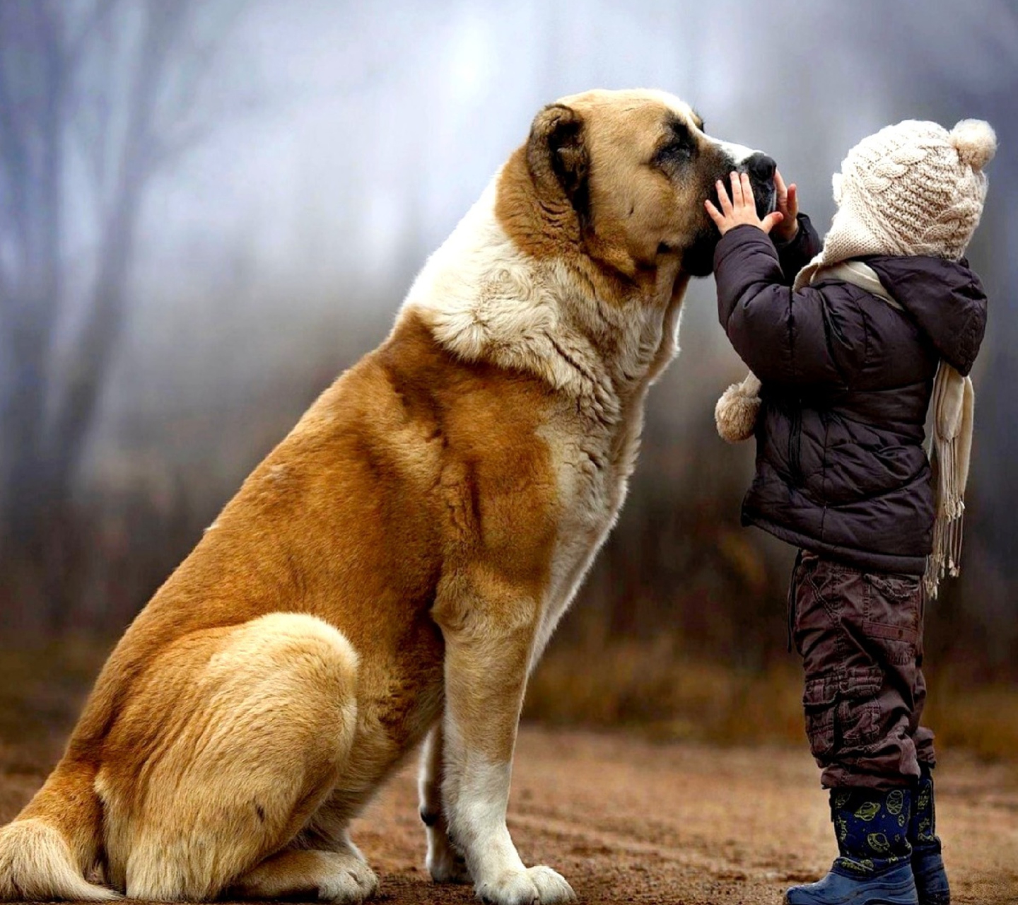 Fondo de pantalla I Love Dogs 1440x1280