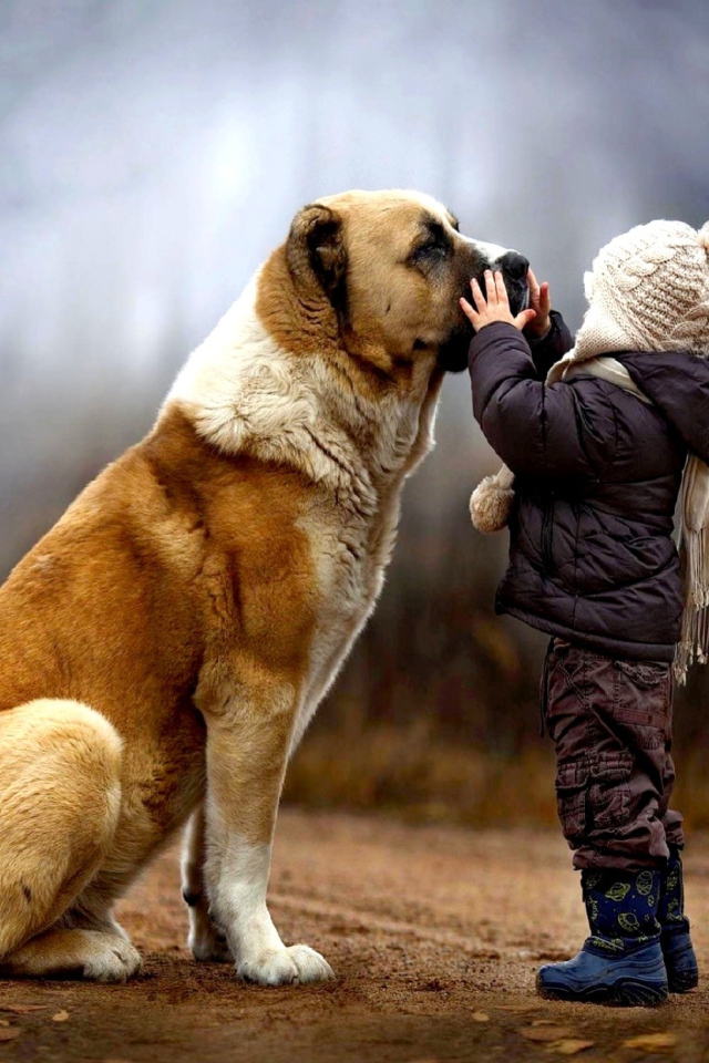 I Love Dogs screenshot #1 640x960