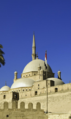 Das Citadel Cairo Wallpaper 240x400
